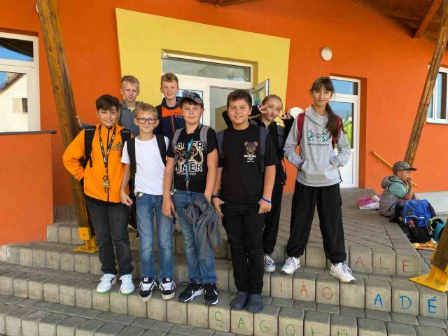 programovanibernartice 4